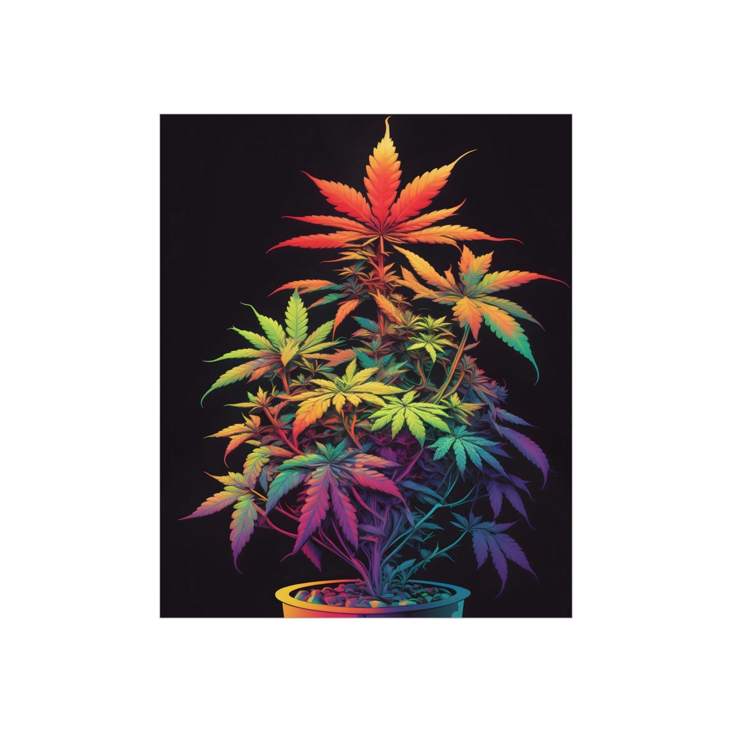 Colorful Cannabis