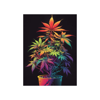 Colorful Cannabis