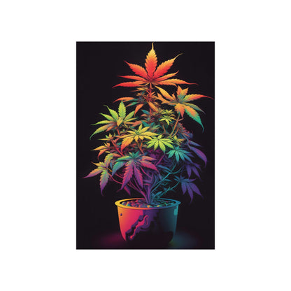 Colorful Cannabis