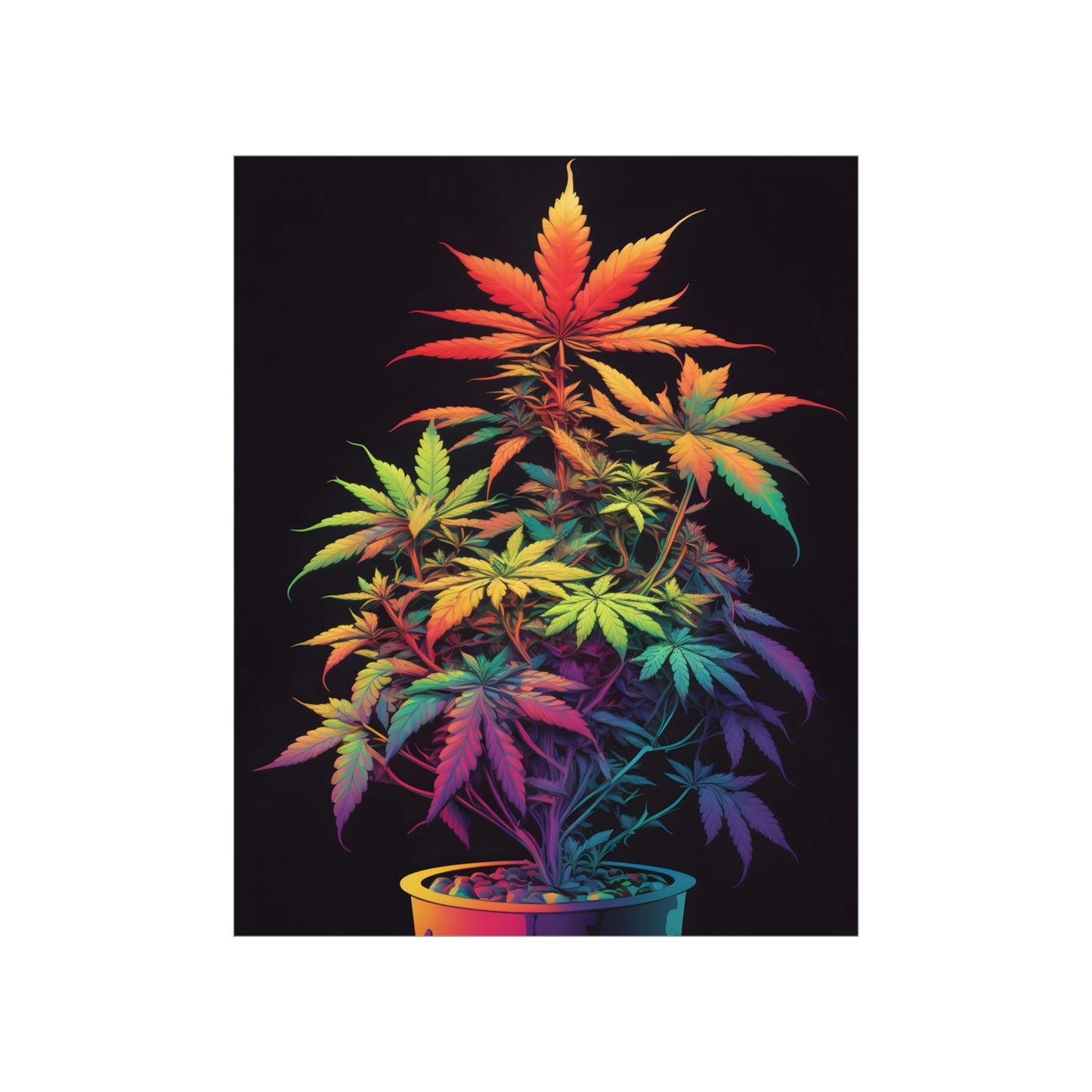 Colorful Cannabis